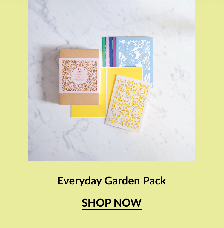 Top-down view of the Everyday Garden Pack, including a kraft paper box and an assortment of cards and envelopes in bright pastel colors with floral cutout designs.