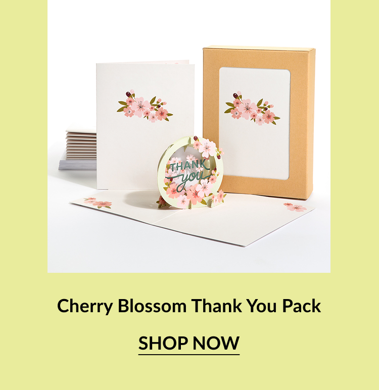 Cherry Blossom-themed thank-you card set including flat and pop-up cards, kraft paper box, and envelopes. All items feature light pink cherry blossoms with green leaves.