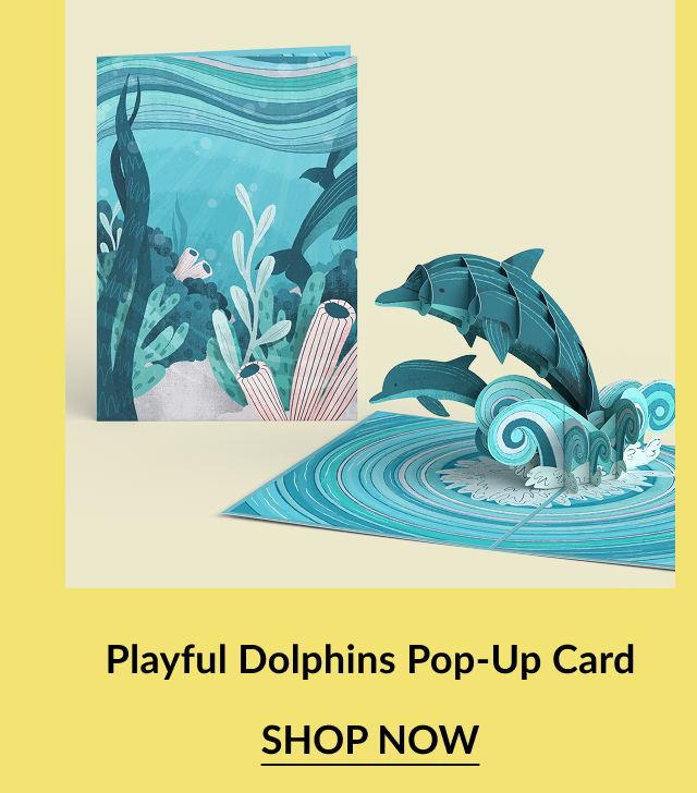 Dolphins pop-up card.