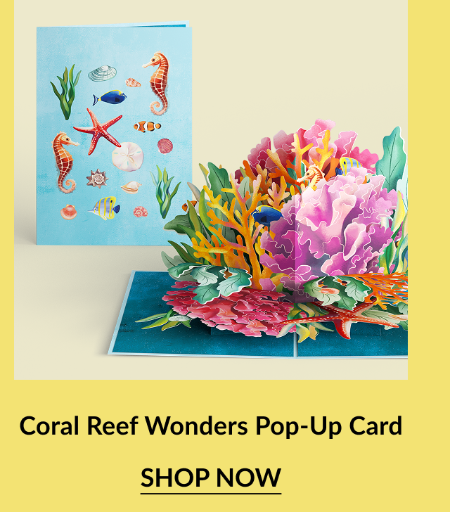 Coral reef pop-up card.