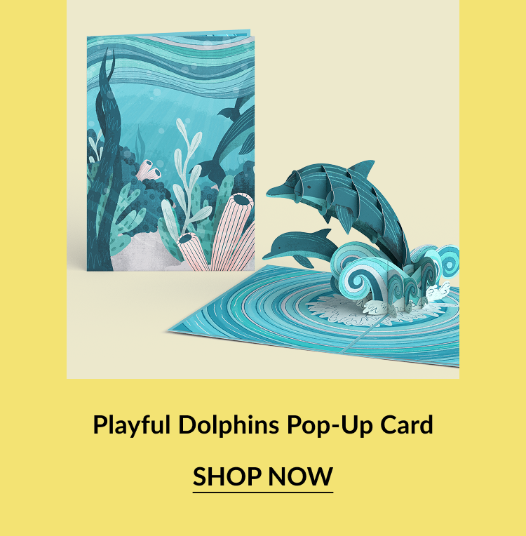 Dolphins pop-up card.