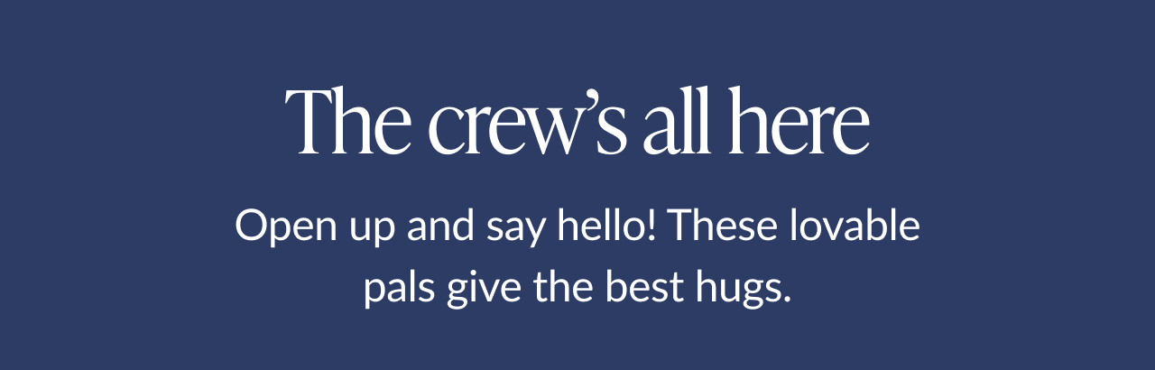 Navy background with text ''The crew's all here. Open up and say hello! These lovable pals give the best hugs.''