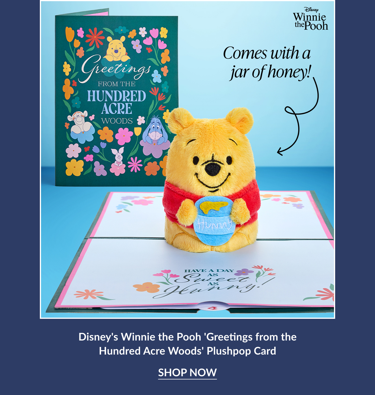 Winnie the Pooh Plushpop card with floral design and text ''Greetings from the Hundred Acre Woods.'' Pooh holds a honey pot with text ''Hunny.''