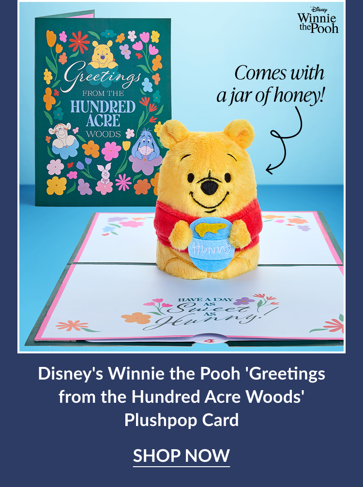 Winnie the Pooh Plushpop card with floral design and text ''Greetings from the Hundred Acre Woods.'' Pooh holds a honey pot with text ''Hunny.''