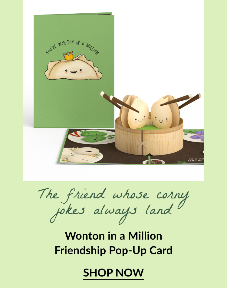 Pop-up dumpling card with text: The friend whose corny jokes always land. Wonton in a Million Friendship Pop-Up Card. Button text: Shop Now