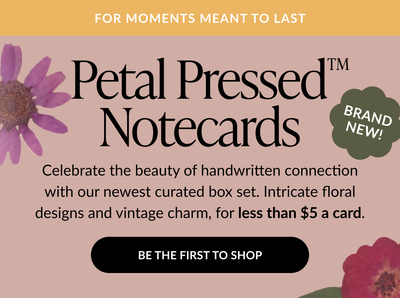 Petal Pressed Notecards - brand new box set with floral designs, less than $5 per card. Be the first to shop.