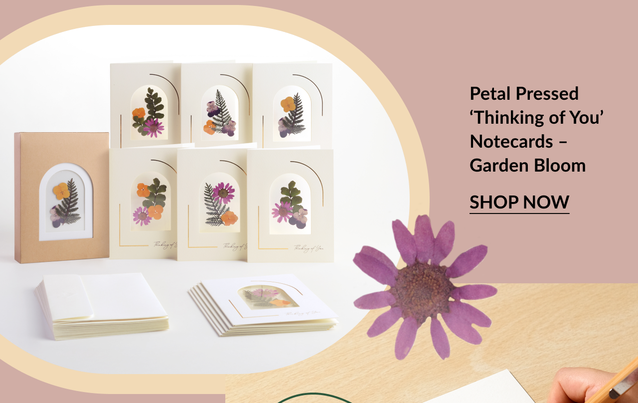 Petal Pressed ‘Thinking of You’ Notecards - Garden Bloom set with floral designs. Shop now.