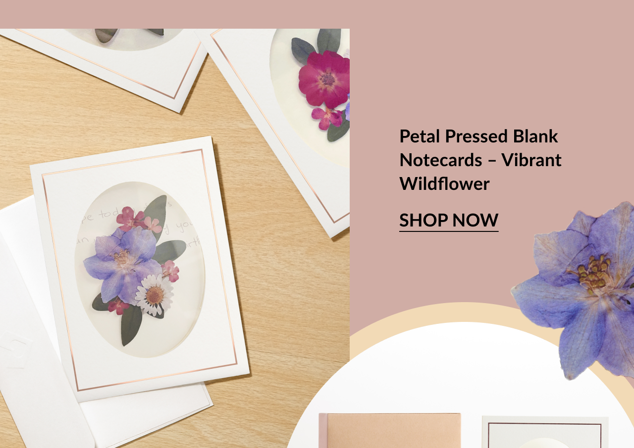 Petal Pressed Blank Notecards - Vibrant Wildflower set with colorful floral designs. Shop now.