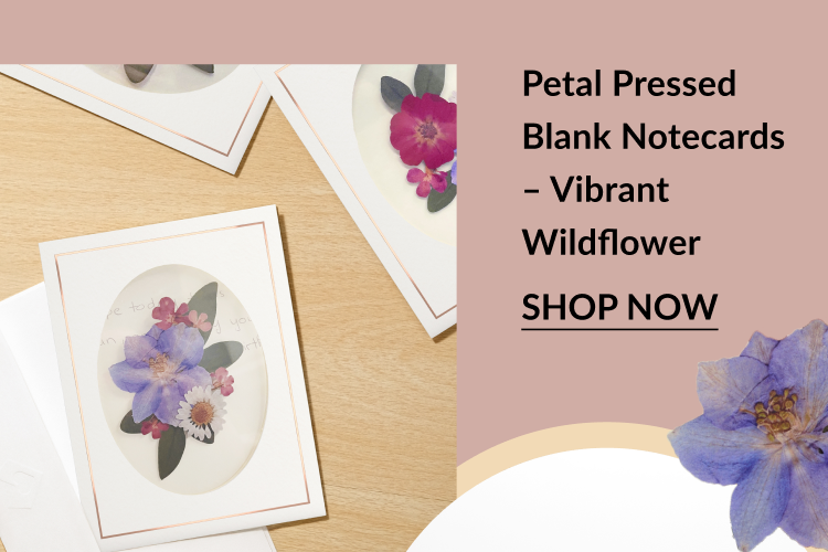 Petal Pressed Blank Notecards - Vibrant Wildflower set with colorful floral designs. Shop now.