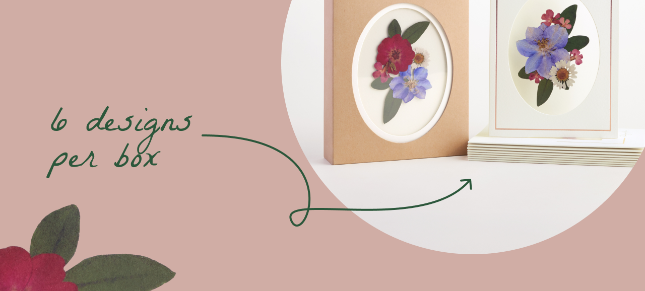 Vibrant Wildflower notecard set with six unique floral designs per box.