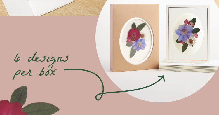 Vibrant Wildflower notecard set with six unique floral designs per box.