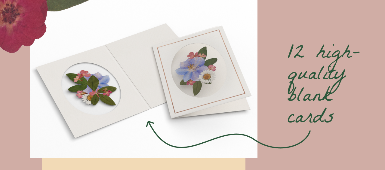 Open Vibrant Wildflower notecard and stack of 12 high-quality blank cards.