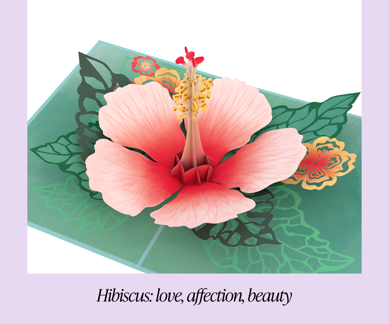 Hibiscus card representing love, affection, and beauty 