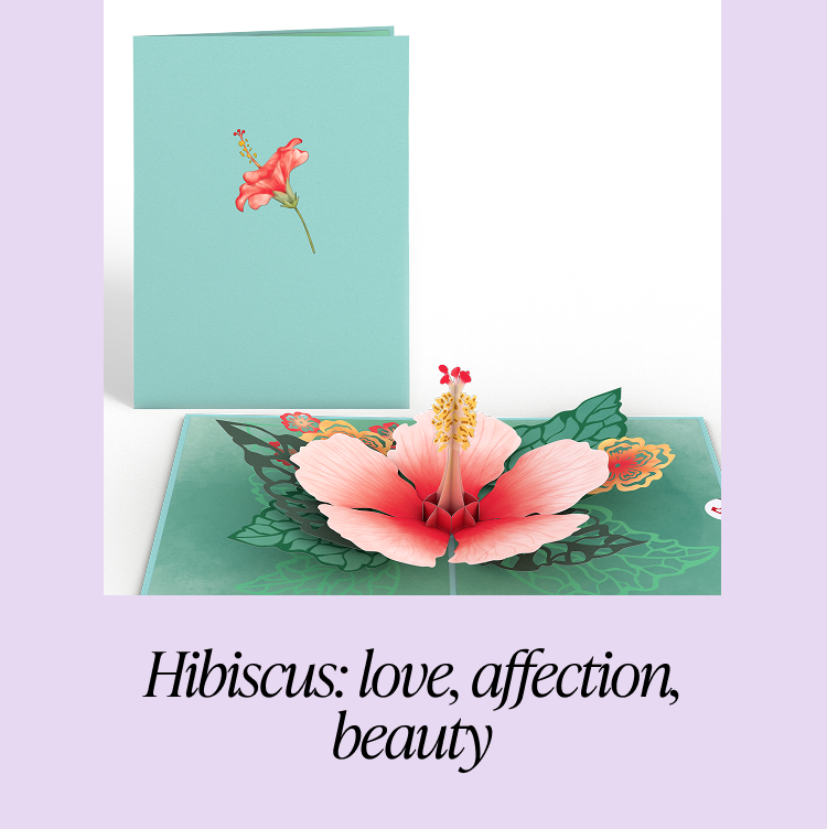 Hibiscus card representing love, affection, and beauty 