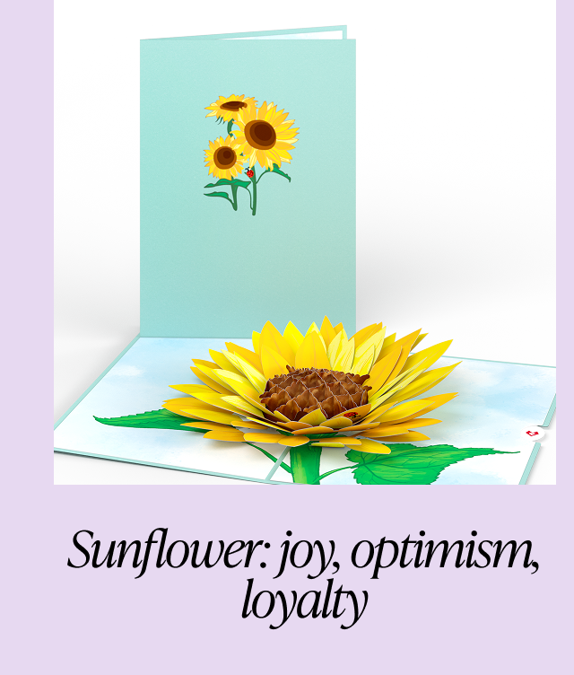 Sunflower card with bright petals and a teal cover, symbolizing joy, optimism, and loyalty.