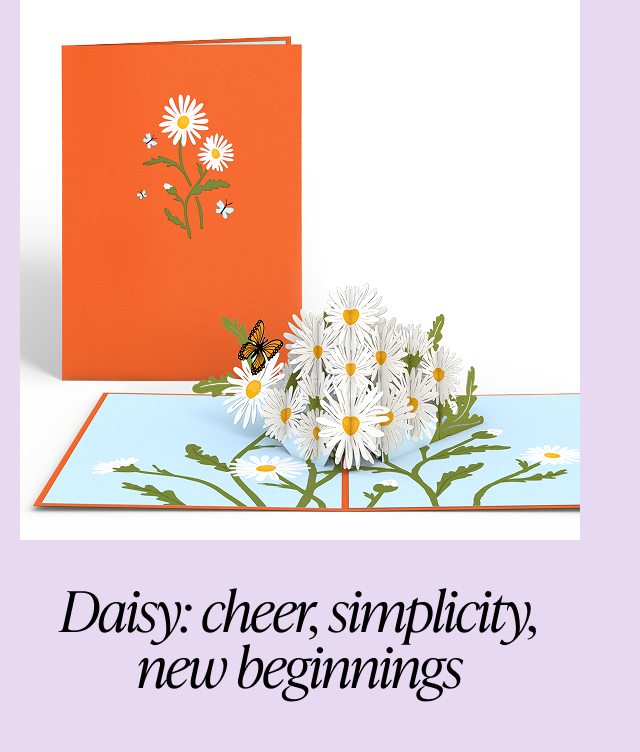 Daisy bouquet pop-up card with orange cover, representing cheer, simplicity, and new beginnings.