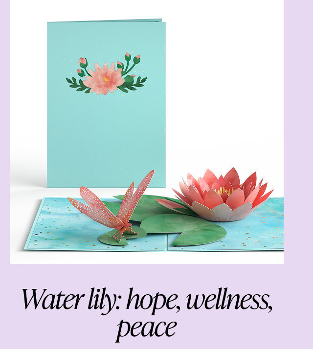 Water lily card with dragonfly and lily pad, representing hope, wellness, and peace.