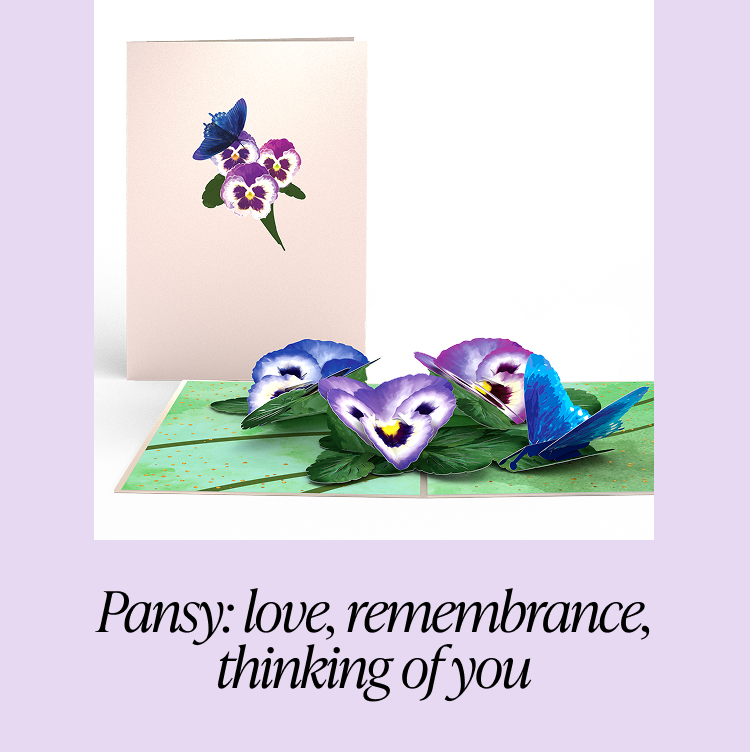 Purple pansy card with butterflies, conveying love, remembrance, and thinking of you.