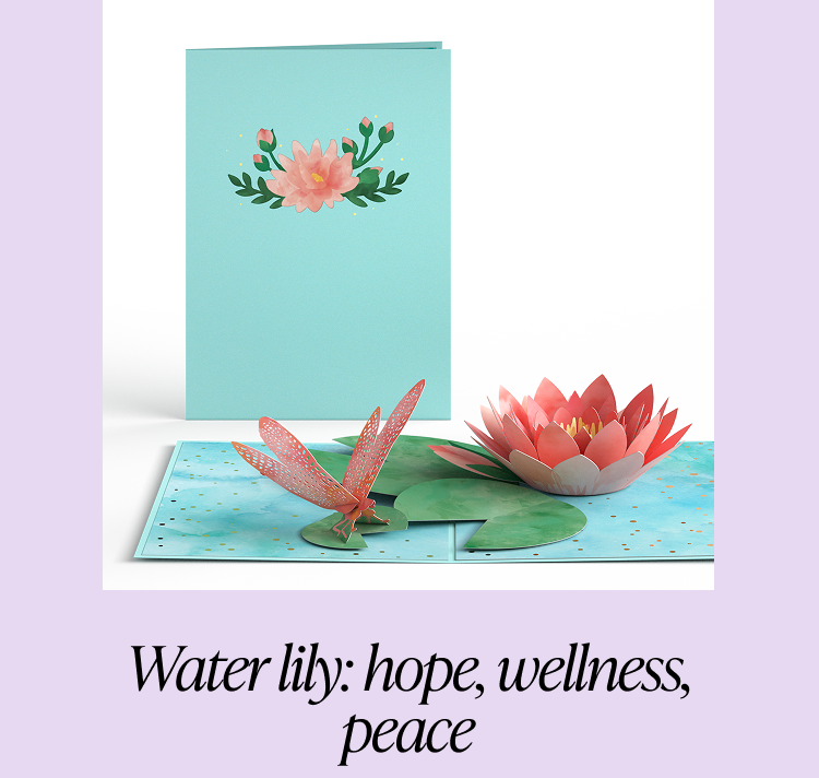 Water lily card with dragonfly and lily pad, representing hope, wellness, and peace.
