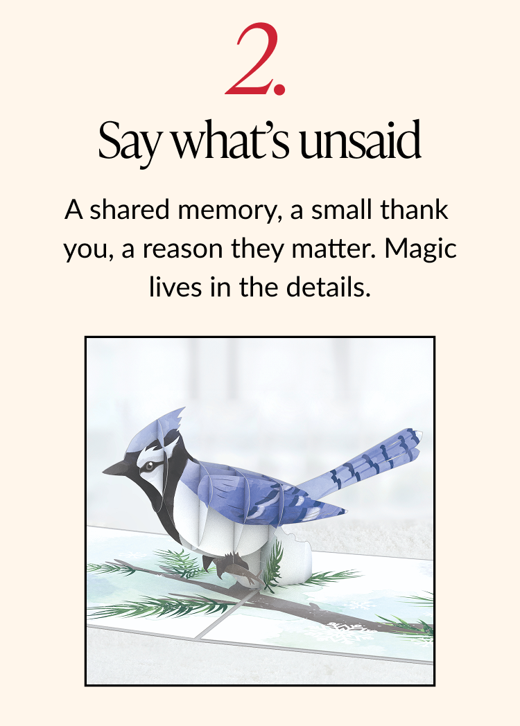 Step 2 tip card showcasing a blue jay pop-up card on a wintery branch, with advice to Say what's unsaid.