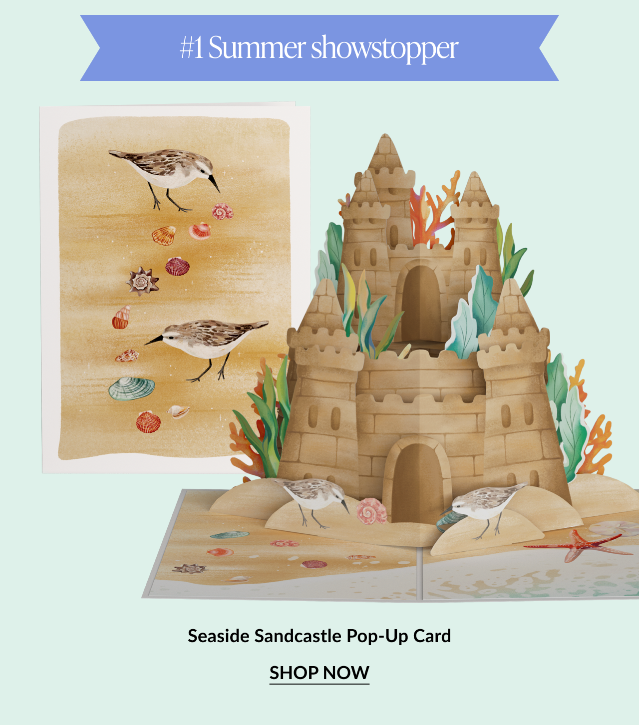 Pop-up card showing a detailed sandcastle with birds and seashells. Button: “Shop Now”