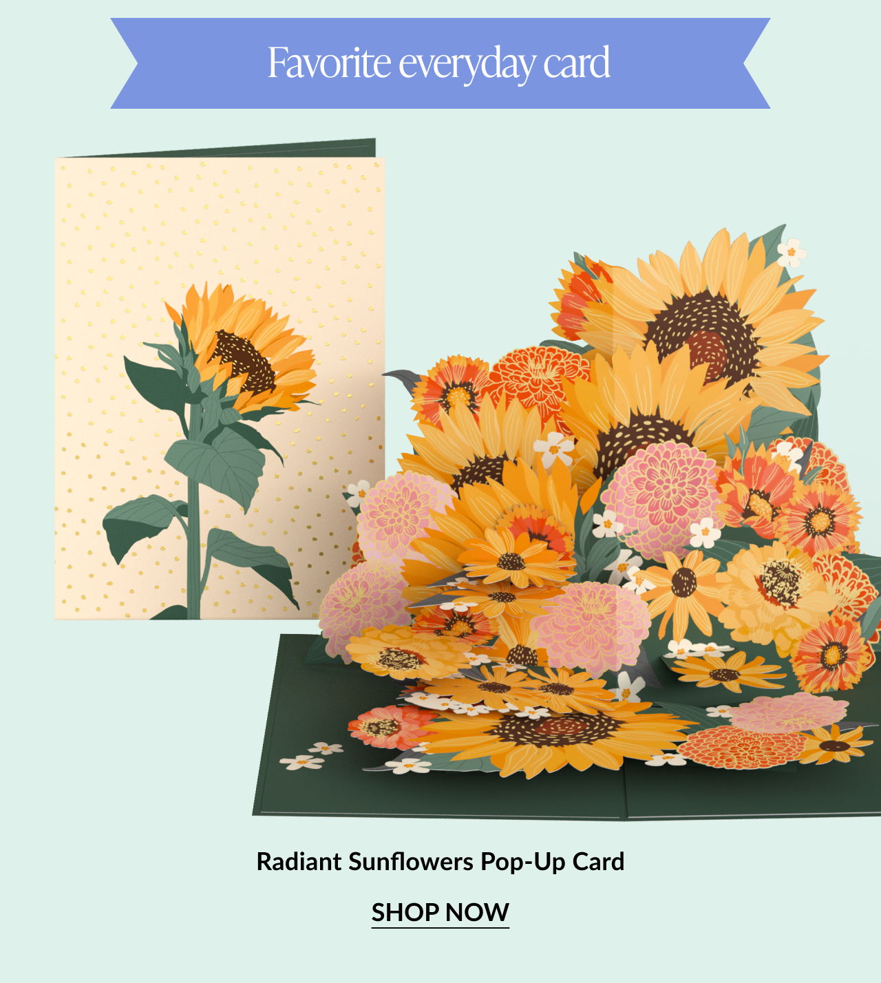 Pop-up card with bright sunflowers and other blooms. Button: “Shop Now”