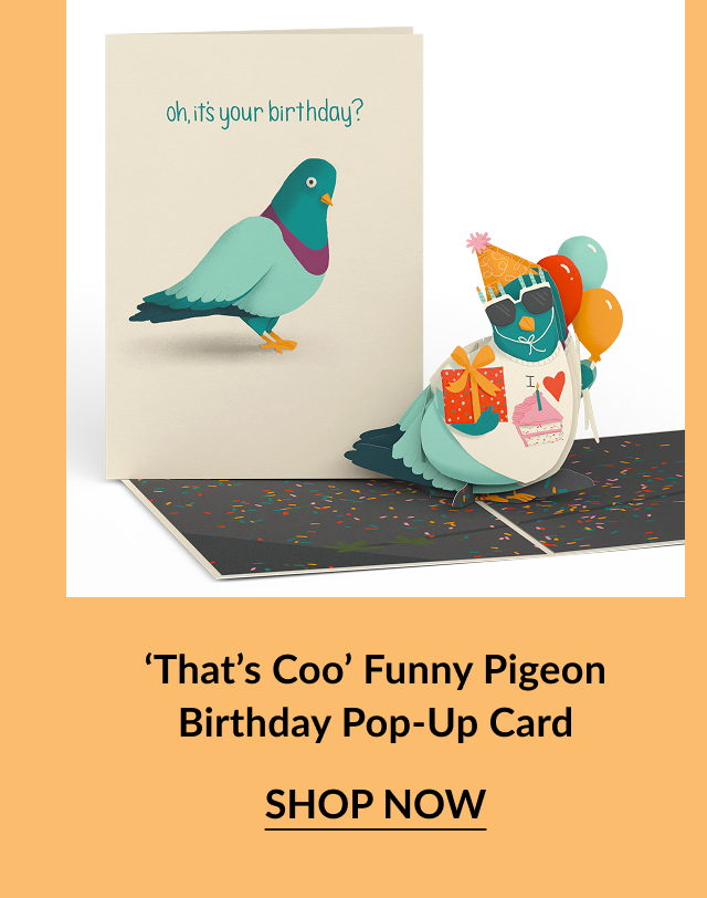 Funny pigeon birthday card with 3D pigeon holding balloons and gifts