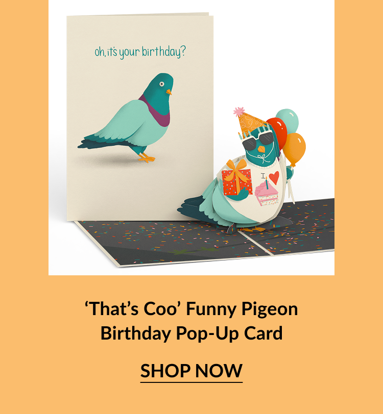 Funny pigeon birthday card with 3D pigeon holding balloons and gifts