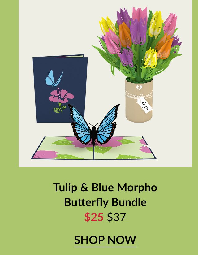 Tulip & Blue Morpho Butterfly Bundle – includes a pop-up butterfly card and colorful tulip bouquet, priced at $25.