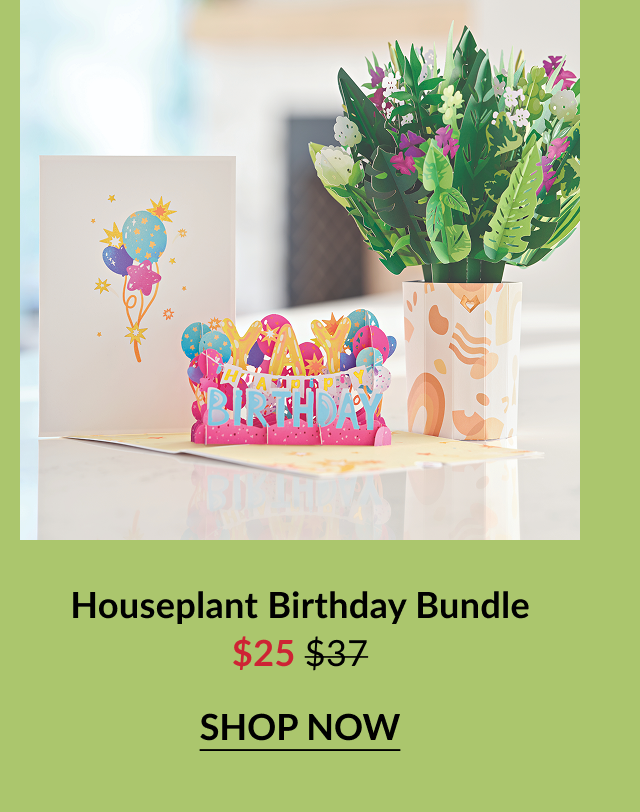 Birthday bundle featuring a balloon card and leafy plant bouquet