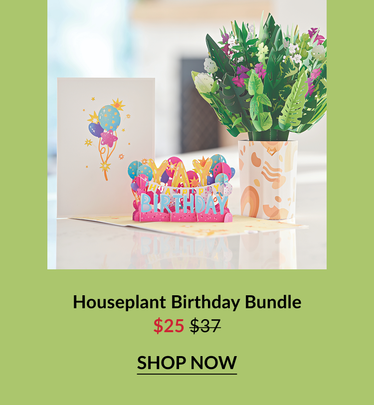 Birthday bundle featuring a balloon card and leafy plant bouquet