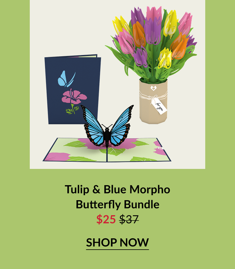 Tulip & Blue Morpho Butterfly Bundle – includes a pop-up butterfly card and colorful tulip bouquet, priced at $25.