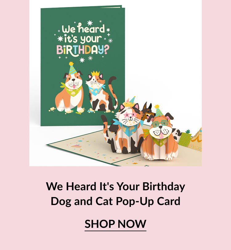Pop-up card with dogs and cats in party hats and the text “We Heard It’s Your Birthday?”