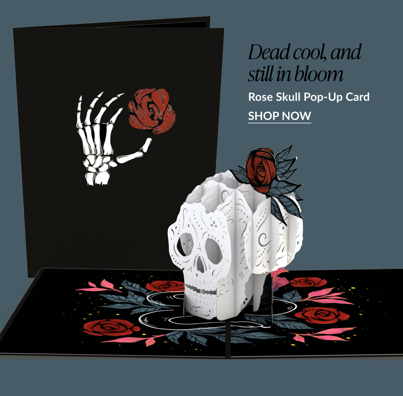 Rose Skull pop-up card with a white 3D skull, red roses, and a skeletal hand holding a flower on the cover