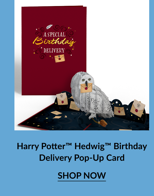 Harry Potter Hedwig Birthday Delivery Pop-Up Card showing a maroon cover with “A Special Birthday Delivery” text and a 3D Hedwig owl holding a Hogwarts letter, with “Shop Now” button.