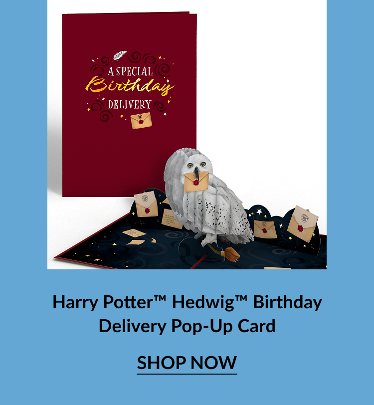 Harry Potter Hedwig Birthday Delivery Pop-Up Card showing a maroon cover with “A Special Birthday Delivery” text and a 3D Hedwig owl holding a Hogwarts letter, with “Shop Now” button.