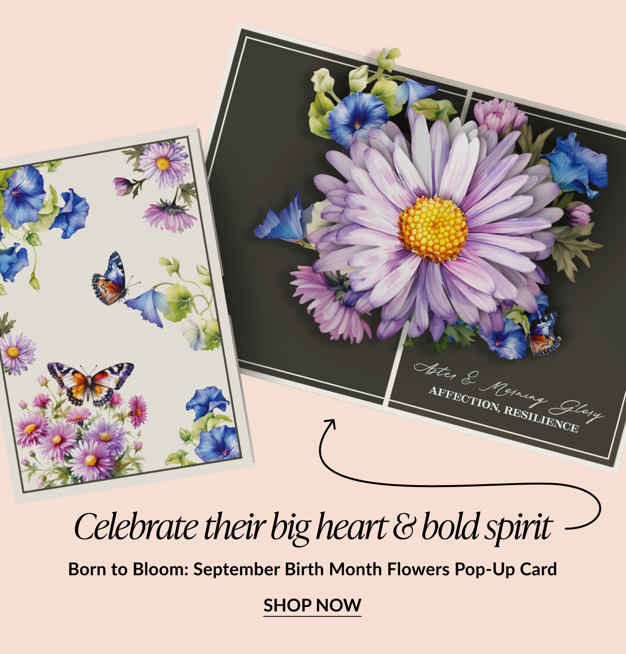 Born to Bloom: September Birth Month Flowers Pop-Up Card showing two floral designs with asters, morning glories, and butterflies, with text about celebrating their big heart and bold spirit, and “Shop Now” button.