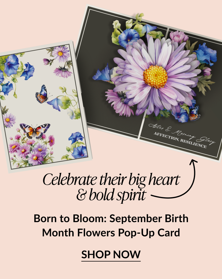 Born to Bloom: September Birth Month Flowers Pop-Up Card showing two floral designs with asters, morning glories, and butterflies, with text about celebrating their big heart and bold spirit, and “Shop Now” button.