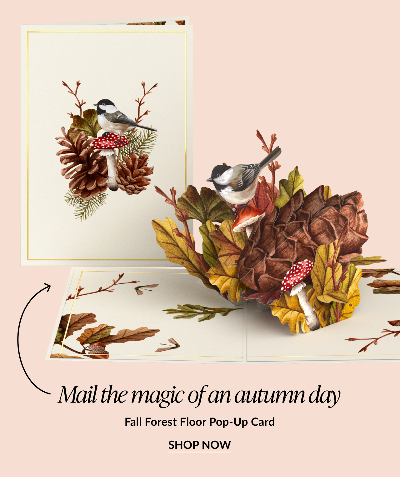 Fall Forest Floor Pop-Up Card with a nature-inspired design featuring chickadees, pinecones, mushrooms, and autumn leaves, with “Shop Now” button.