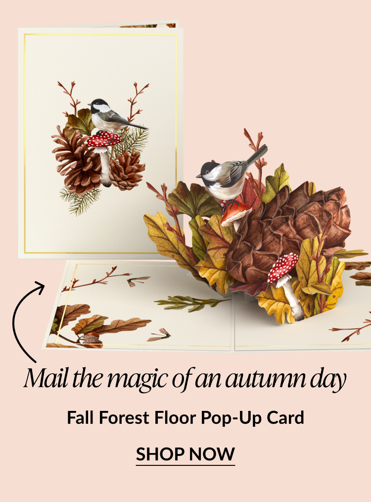Fall Forest Floor Pop-Up Card with a nature-inspired design featuring chickadees, pinecones, mushrooms, and autumn leaves, with “Shop Now” button.