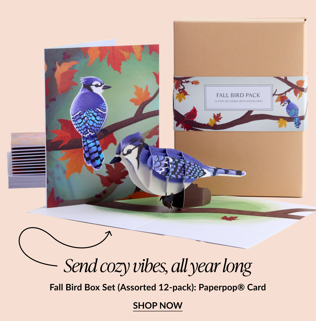Fall Bird Box Set (Assorted 12-pack) Paperpop® Card featuring a 3D blue jay perched on a branch with a fall foliage background, alongside a brown gift box labeled “Fall Bird Pack,” with “Shop Now” button.
