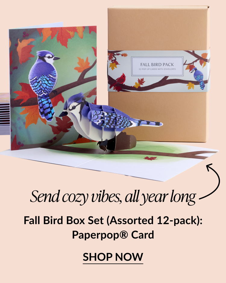 Fall Bird Box Set (Assorted 12-pack) Paperpop® Card featuring a 3D blue jay perched on a branch with a fall foliage background, alongside a brown gift box labeled “Fall Bird Pack,” with “Shop Now” button.