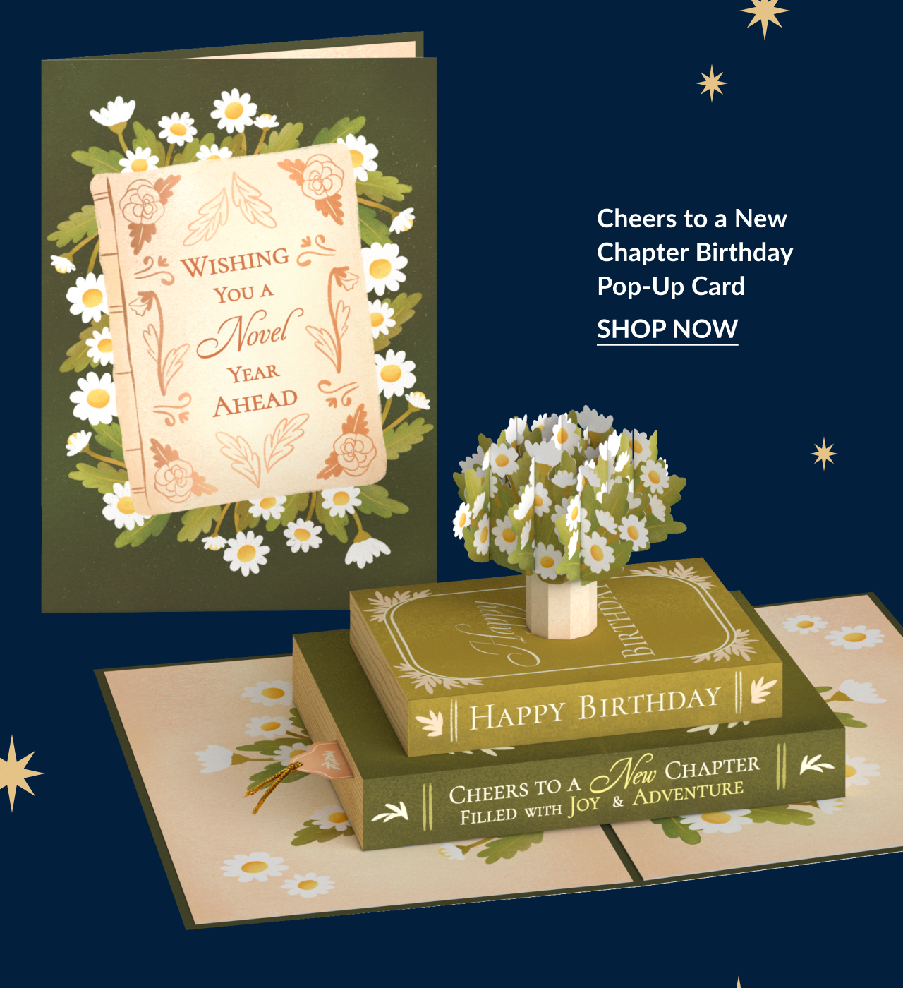 Cheers to a New Chapter Birthday pop-up card with stacked book design and daisies