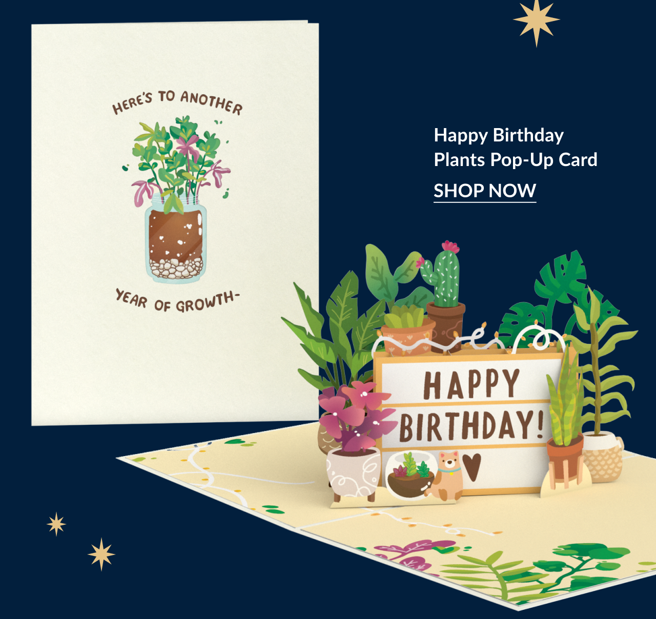 Happy Birthday Plants pop-up card with potted plants and a birthday sign