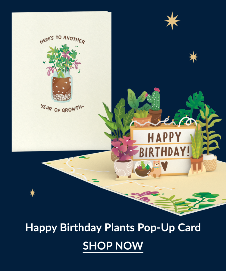 Happy Birthday Plants pop-up card with potted plants and a birthday sign
