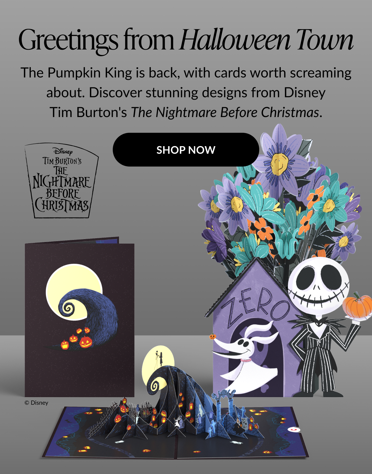 Disney Tim Burton’s The Nightmare Before Christmas cards featuring Jack Skellington, Zero, and Halloween Town bouquet. CTA: Shop Now.