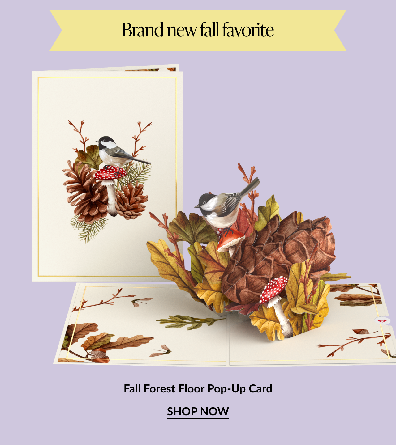 Fall Forest Floor Pop-Up Card – cozy autumn pop-up design with pinecones, leaves, and woodland charm