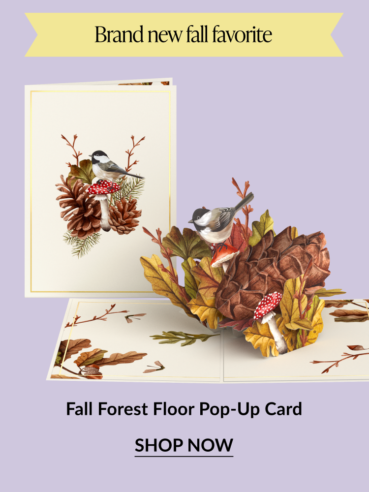Fall Forest Floor Pop-Up Card – cozy autumn pop-up design with pinecones, leaves, and woodland charm