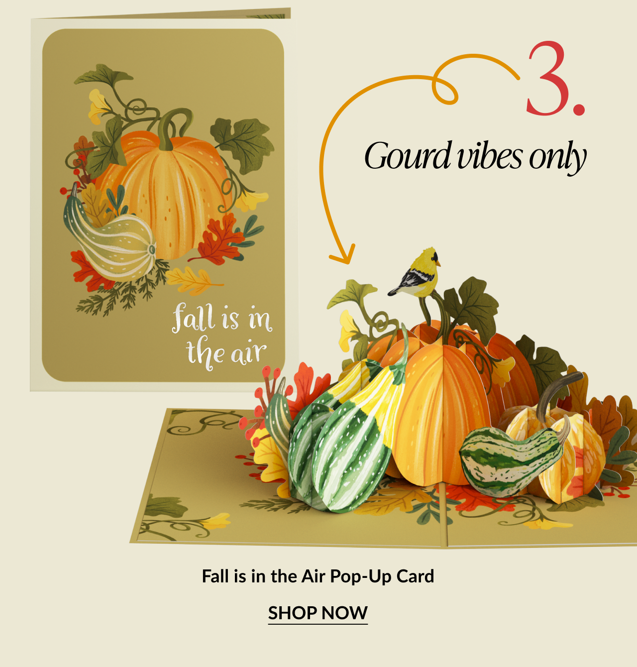 Gourd Vibes Only – Fall Is in the Air Pop-Up Card featuring pumpkins and gourds, with “Fall is in the air” text on the cover and a 3D gourd arrangement inside.