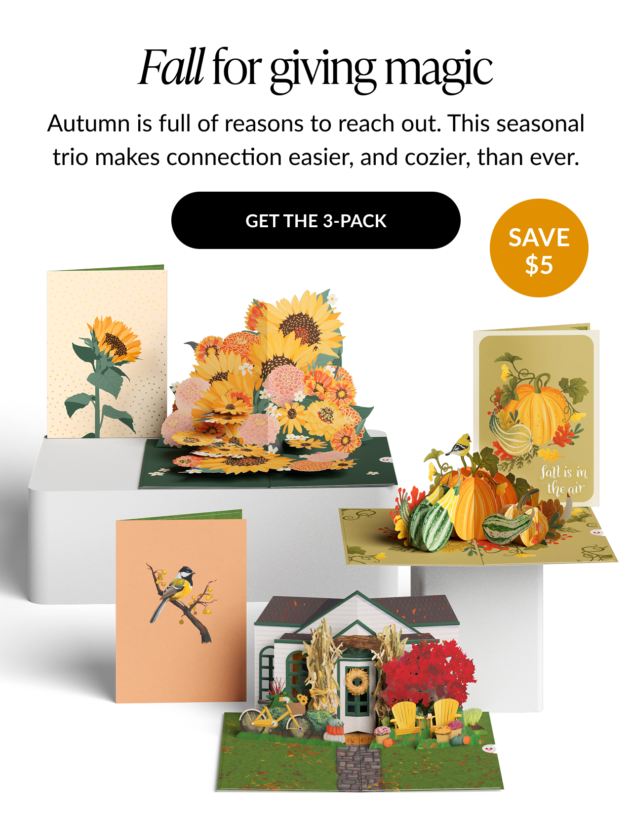 Fall card 3-pack featuring a sunflower bouquet card, gourd design card, and fall welcome house card with “Save $5” badge.